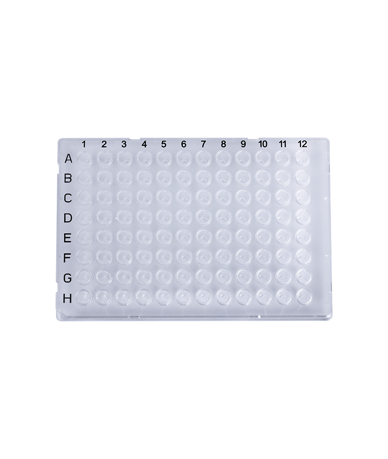 PCR20-C-96-FS-BC 0.2ml 투명 96웰 풀 스커트 PCR 플레이트