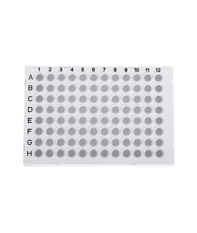 Biorad용 PCR20-C-96-FS-BR 0.2ml 투명 96웰 풀 스커트 PCR 플레이트